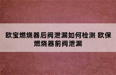 欧宝燃烧器后阀泄漏如何检测 欧保燃烧器前阀泄漏